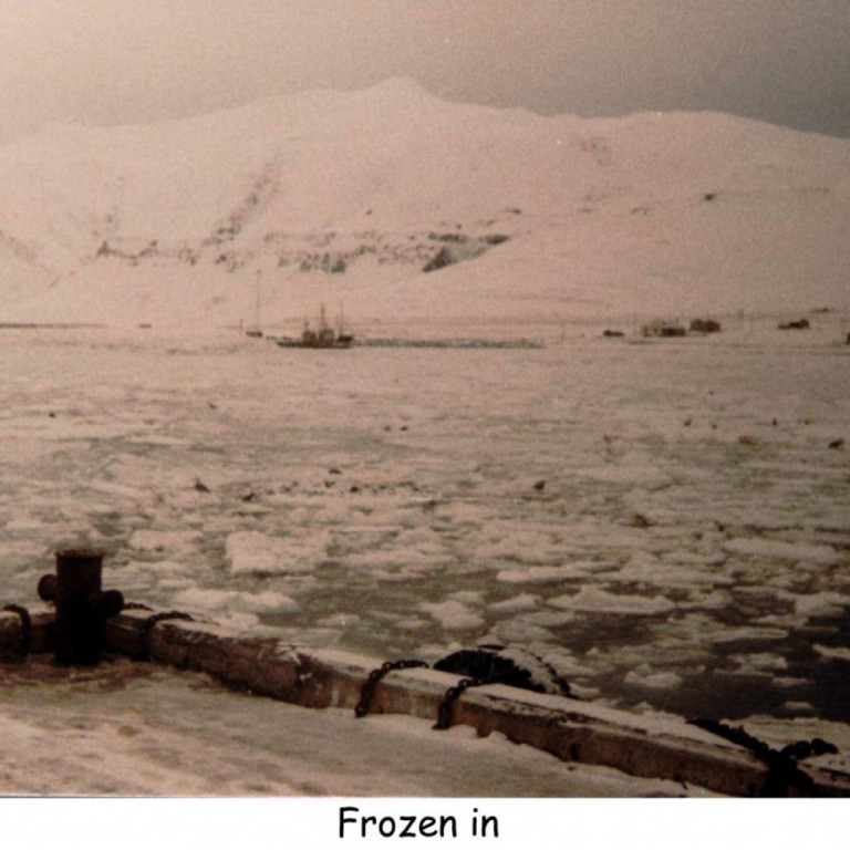 Frozen in. Mynd af diskinum Icecold reality.