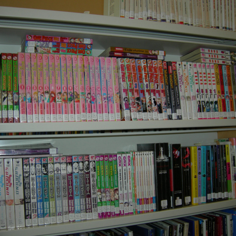 Myndasögur í bókahillu bókasafnsins.