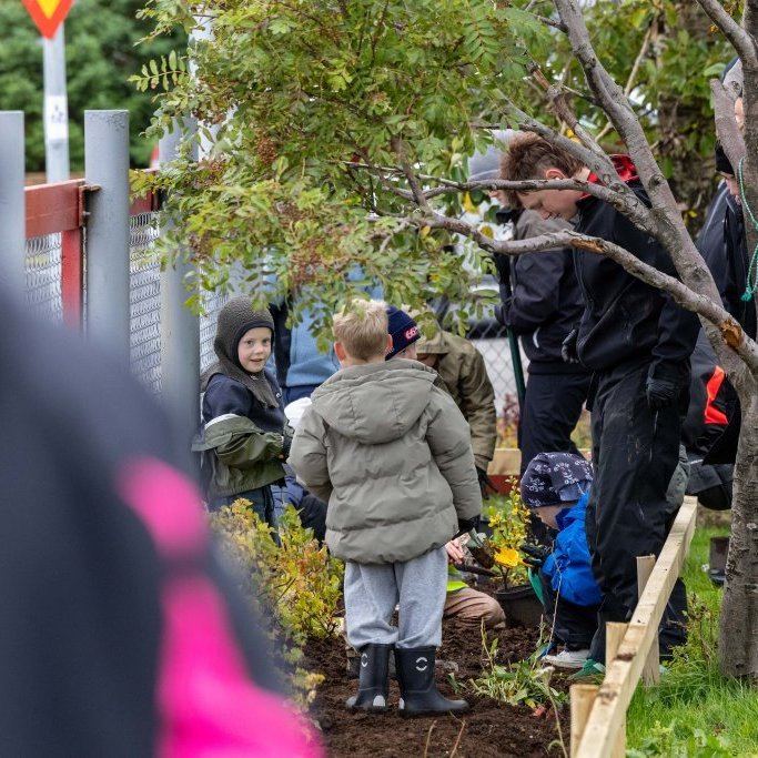 leikskoligrodursetning17agust2026-23