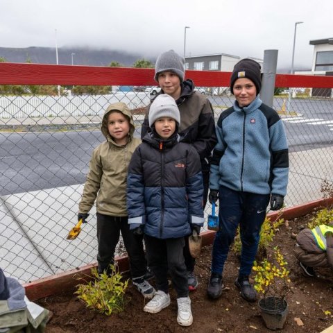 Gróðursetning í leikskólalóð