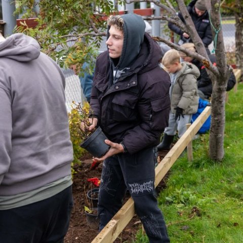 Gróðursetning í leikskólalóð