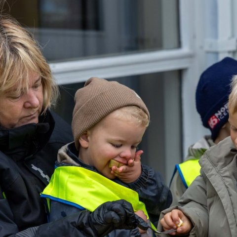 Gróðursetning í leikskólalóð
