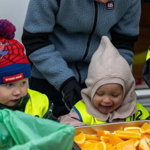 Gróðursetning í leikskólalóð
