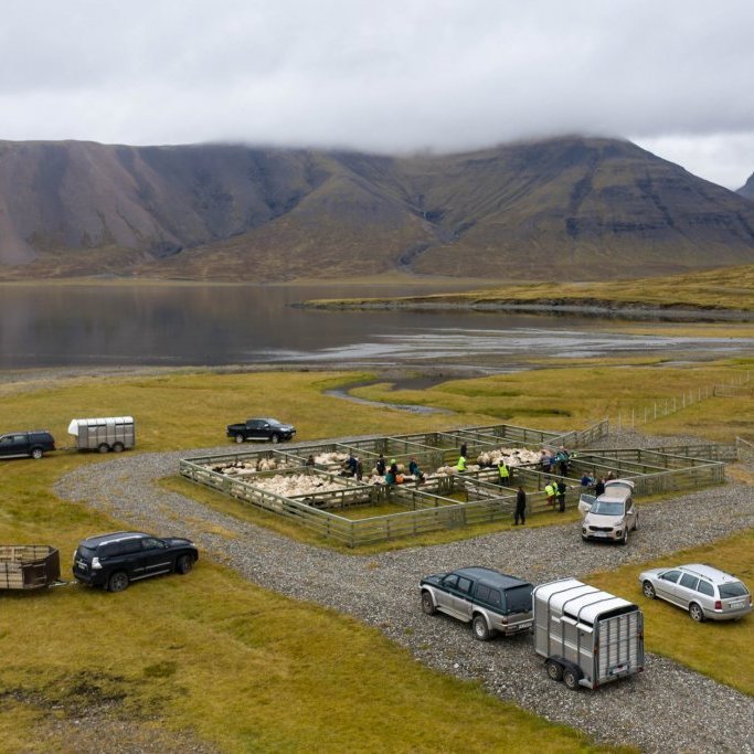 121997400_3354970697884786_1066113857240605689_o