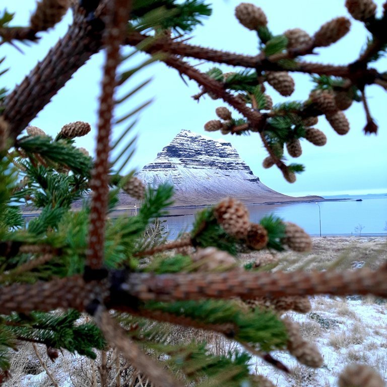 olga-adalsteinsdottir