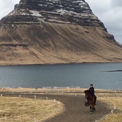 hesteigendafelag-grundarfjardar