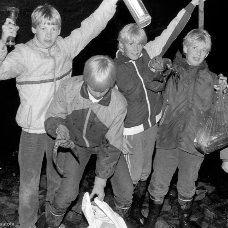 Hressir strákar kátir með aflann sinn en á hvaða veiðiskap þeir hafa verið með vasaljós og lugt væri gaman að vita. Strákarnir eru fæddir árin 1971 og 1972,  lengst til vinstri er Halldór Sigurjónsson en síðan koma þeir Þröstur Sigmundsson, Steinar Þór Alfreðsson og Friðfinnur Níelsson.