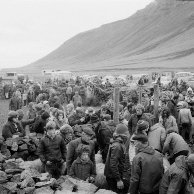 Skemmtileg mynd sem sýnir mannlífið innan Grundarréttar, þekkja má fjölda einstaklinga á þessari mynd. Guðmundur frá Eyri lengst til hægri, fremst á myndinni eru þeir frændur Guðjón Elisson og Hafsteinn Garðarsson, fyrir aftan þá eru bændurnir Ingvar Agnarsson frá Kolgröfum, Hörður Pálsson frá Hömrum og hreppstjórinn Bjarni Sigurðsson frá Berserkseyri. Lengst til hægri á myndinni er Gunnar Kristjánsson frá Skallabúðum. Aftar á myndinni má þekkja Garðar Gunnarsson, Sverri Lárusson og Rögnvald Guðlaugsson.