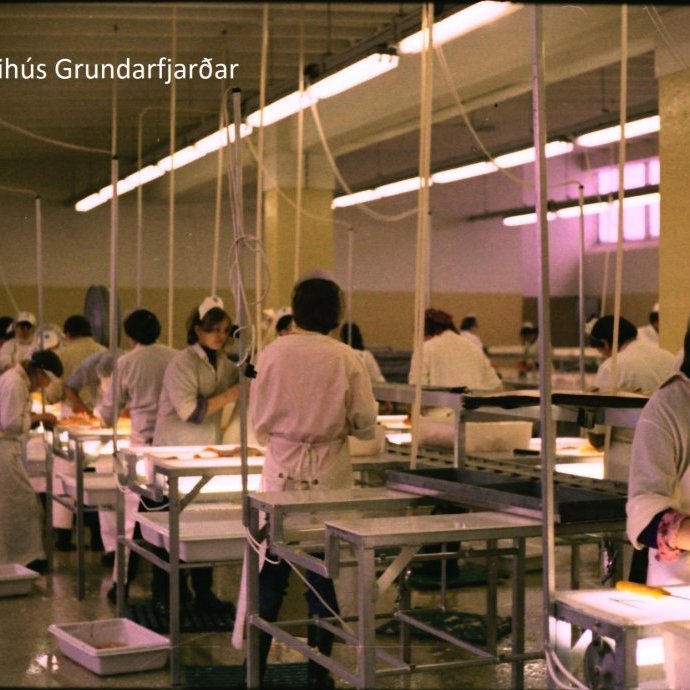 Það voru í flestum tilfellum konur á öllum aldri sem unnu við að koma hráefnum í söluvænt ferli eftir að í flestum tilfellum það voru sjómenn á skipum og bátum sem höfðu sótt aflann í greipar Ægis. Á þessari mynd má sjá konur sem eru starfsmenn Hraðfrystihúss Grundarfjarðar við vinnu í fiskvinnslusal. Fremst á myndinni er Guðríður Arndís Ingvarsdóttir (Dísa á Kolgröfum). Gaman væri að fá fleiri nöfn.