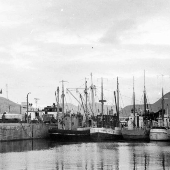 Grundarfjörður er oft spegilsléttur og höfnin þá sannkölluð friðarhöfn.