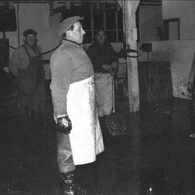 Á þessari mynd er verið að vinna að síldar frystingu í HG. Mennirnir á myndinni eru talið frá vinstri eru Láris Jónsson, Þorkell Runólfsson, Sigurður Stefánsson, Sigurjón Guðlaugsson, Hjörleifur Magnússon og Ásgeir Kristjánsson. Það væri gaman að fá vitneskju um á hvaða aldri mennirnir eru þarna og viðurnefni þeirra til þess að auðkenna, t.d. er það hann Siggi sterki sem er fyrir miðri mynd.