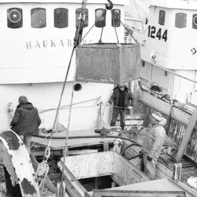 Þessi skemmtilega mynd er frá árinu 1980 á vetrarvertíð um borð í Haukabergi SH-20. Spurningin er hvaða ungu sjómenn eru á vinna á dekkinu og hver er skipstjórinn í brúnni?