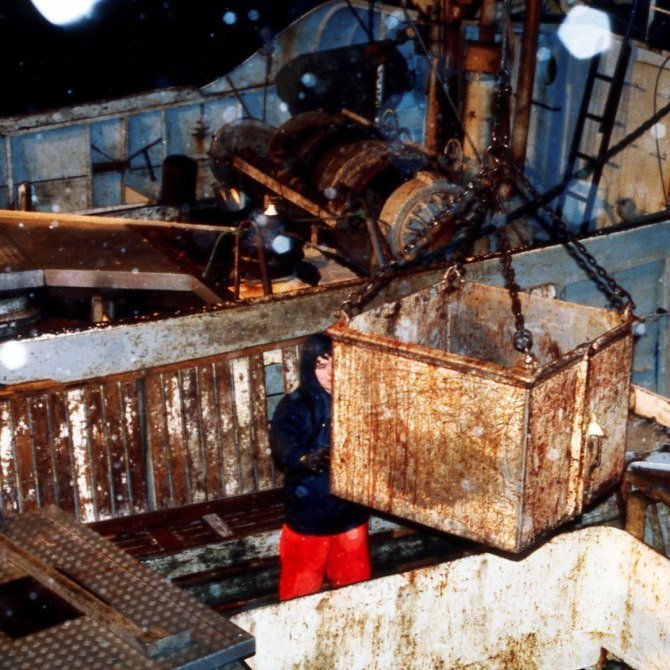 Mynd frá vetrarvertíð frá hvaða ári er myndin?  Hver er ungi sjómaðurinn og upp úr hvaða bát er verið að landa úr? Og hvaða bátur liggur utan á?