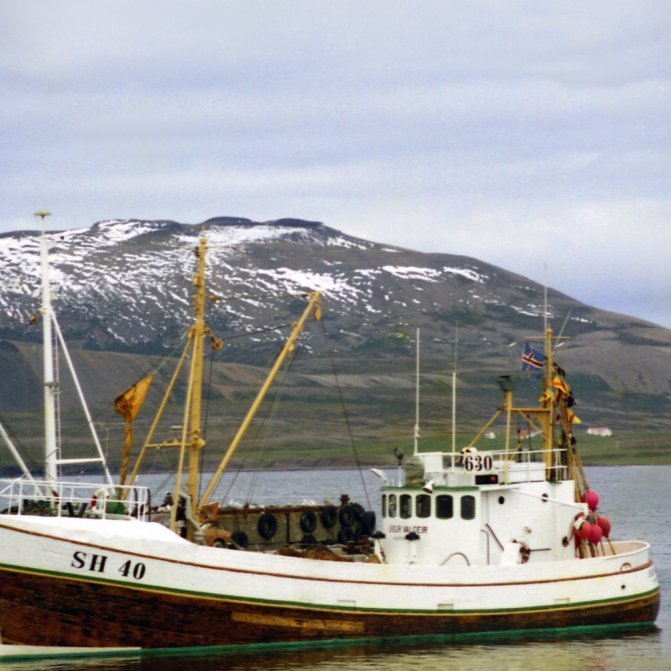 Hér Lýður Valgeir SH-40 í eigu útgerðamannsins og skipstjórans Þorvarðar Lárussonar (Varði), Varði nefndi bátinn sinn eftir bróður sínum sem hann hafði misst ungan af slysförum.