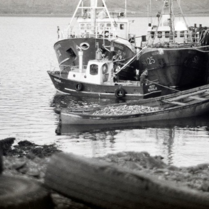 Það væri gaman að fá upplýsingar um hvað sé í gangi á næstu tveimur myndum. Tryllan Hrútey frá Reykhólum virðist vera að sækja fisk sem settur er í stóram árabát sem síðan er tekinn í tog.