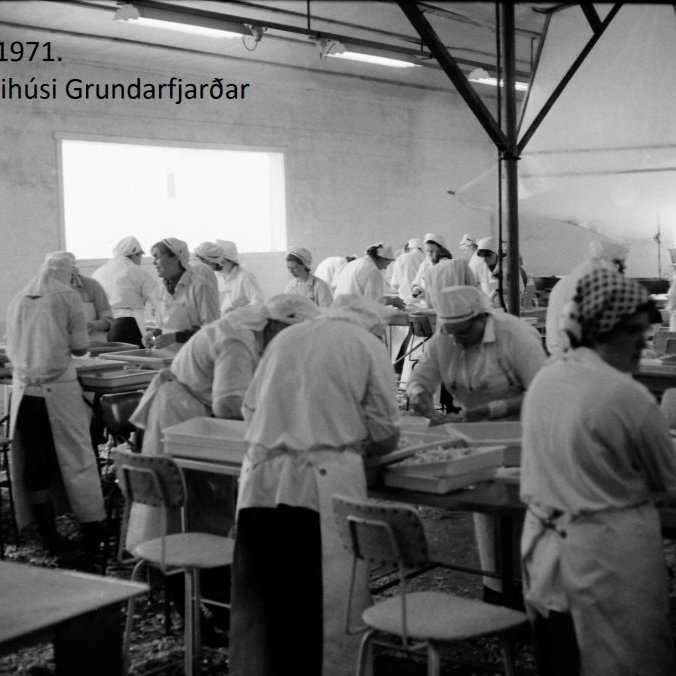 Þessi mynd er tekin árið 1971 í Hraðfrystihúsi Grundarfjarðar þar sem eingöngu konur voru að vinna í vinnslusalnum þótt verkstjórinn og tækjamennirnir hafi verið karlmenn og strákar á þessum árum.