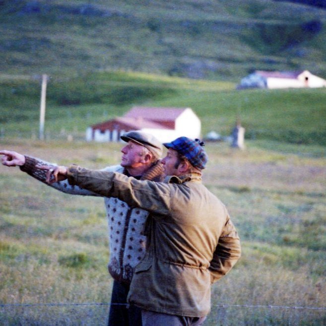 Þessi skemmtilega mynd sýnir Þorstein Ásmundsson á Kverná benda á fallegt hestastóð sem við sjáum á næstu mynd, okkur vantar nafn mannsins sem er með Steina á myndinni.