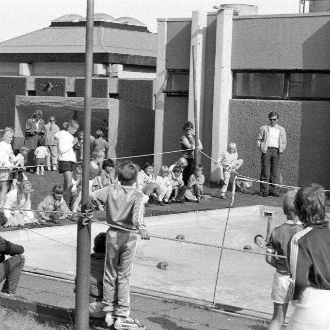Þessi mynd er líklega tekin á 17. Júní og er sundkeppni í gangi , líklega er það ennþá Sigurberg Árnason sem tekur tímann á keppendum. Á myndinni sést að hluti nýbyggingar skólans er komin í gagnið og einnig gangur á milli skólanns og íþróttahússins. Sundlaugargarðurinn hefur tekið miklum og góðum breytingum frá því að þessi mynd er tekin, það er einnig gaman að sjá í baksýn sölutjald kvenfélagsins Gleym mér ei.