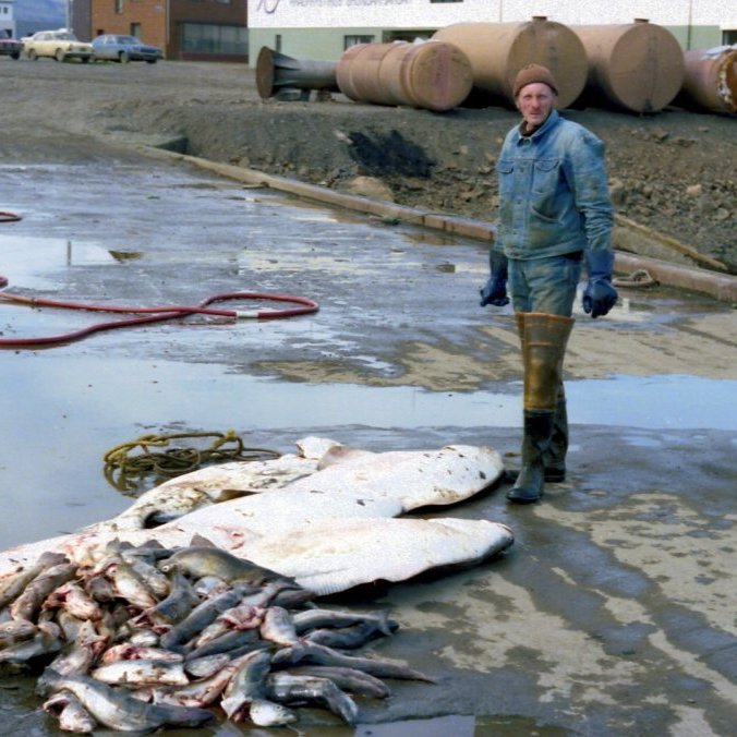 Hér stendur Runólfur Þorkelsson (Runni á Hól) við þokkalegasta afla af lúðu, þorsk og ýsu. Runni er þarna staddur á Litlu bryggju og má sjá bak við hann í fjörunni leifarnar af rennunum sem notaðar voru þegar smíðuð voru kör hérna í Grundarfirði sem síðan var rennt í sjóinn og dregin sjóleiðina á áfangastað þar sem verið var að vinna við bryggjuframkvæmdir. Það væri gaman að vita hvaða tilgangi stóru tankarnir sem eru þarna fyrir framan frystihúsið þjónuðu og hvaðan þeir komu. Frá því að þessi mynd er tekin hefur bikið vatn runnið til sjávar og ásýnd hafnarsvæðisins tekið miklum og góðum breytingum, með landfyllingu hefur hafnarsvæðið margfaldast, á því svæði sem Litlabryggja var er núna Miðgarður og flotbryggjan, fyrir norðan þær er núna Norðurgarður, mikið og fjölbreytt athafnasvæði enda verið stækkað mjög mikið með landfyllingu og lengingu.