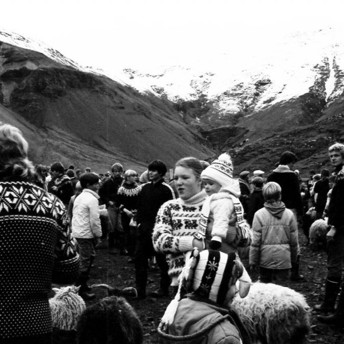 Það var alltaf mikið fjör í Grundarrétt og fleira var um fólk og börn en kindur og lömb. Það má sjá þegar horft er inn eftir Grundarbotni að haustið er á næstu grösum. Á myndinni sem er frá 1982 má þekkja Steinþóru Ágústsdóttur sem heldur á systur sinni Dagnýju Ágústsdóttur, Elís Gunnarsson, Guðlaug Gunnarsson, Hafstein Jónsson og Kára Arnórsson.
