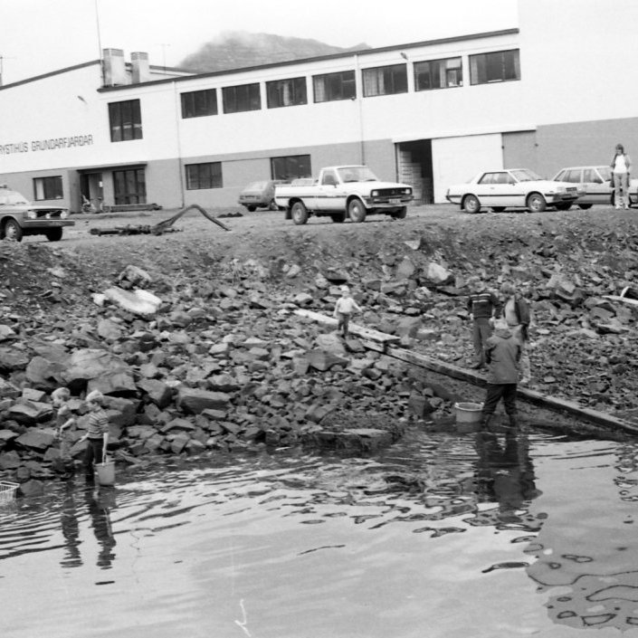Í fjörunni fyrir neðan vigtina er þarna verið að sækja beitu. Þetta var árið 1985 og hafði smokkfiskur hreinlega synt upp í fjöru. Þetta sá kokkurinn á Haukaberginu, útgerðarmaðurinn ásamt nokkrum úr áhöfninni og nokkrum krökkum fóru niður í fjöru til þess að næla í beitu. Smokkfiskurinn var síðan frystur og notaður í beitu á línuveiðum um haustið.