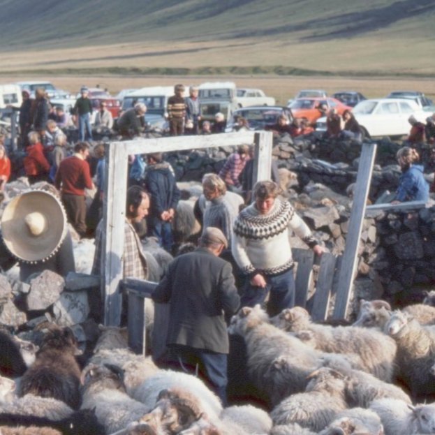 Réttarstemmningin í algleymi. Þekkja má á myndinni Rögnvald Guðlaugsson, Hörð Pálsson á Hömrum og Pál Torfason á Naustum, Guðmund Guðmundsson frá Hallbjarnareyri, Hallgrím Pétursson og Auði Jónasdóttur.  Gaman væri að fá fleiri nöfn.