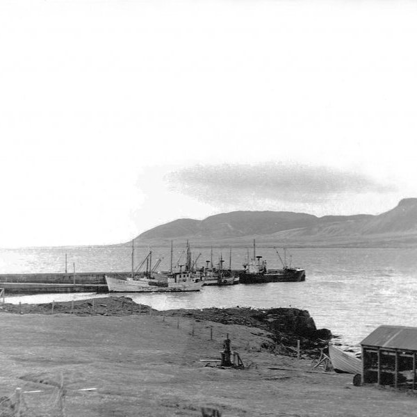 Mynd tekin frá neðri lóðarmörkum Grundargötu 20 og í áttina að höfninni. Lengst til hægri er Lengja sem Björgvin átti og einnig litli báturinn hans Þolinmóður. Túnið kölluðu krakkarnir stóra Bjöggatún og þar fyrir neðan er Kattarsnagi sem var skemmtilegt leiksvæði og einnig hjallarnir þar fyrir ofan. Litla bryggja er þegar þessi mynd er tekin ennþá þannig að sjór flæddi yfir fremsta hlutann á háflóði, fyrir aftan hana er stóra bryggja. Neshúsin standa þarna, en þau voru rifin á áttunda áratug síðustu aldar, og einnig sést í Svansskála og vigtarskúrinn.