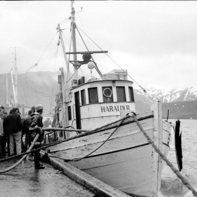 Á þessari mynd er Haraldur við bryggju í Grundarfirði 5. júní 1973 eftir að eldur hafði komið upp í bátnum úti á Grundarfirði. Vélbáturinn Haraldur SH 123 var smíðaður hjá Skipaviðgerðum hf. í Vestmannaeyjum árið 1962 fyrir samnefnt hlutafélag á Höfn í Hornafirði (Gústaf Sigjónsson). Hét hann þá Haraldur SF 70. Báturinn var seldur Oddgeiri Ísakssyni og fl. á Grenivík, hét þá Haraldur ÞH 20. Hann var síðan seldur 28. september 1971, Soffaníasi Cecilssyni og fl. í Grundarfirði og hét báturinn þá Haraldur SH 123. 
Haraldur SH-123 var á rækjuveiðum og var hann á siglingu út af Öndverðarnesi á leið til heimahafnar í Grundarfirði þegar hann fórst þann 10. nóvember 1977 og með honum tveir ungir menn, þeir Bragi Þór Magnússon og Benedikt Gunnlaugsson.