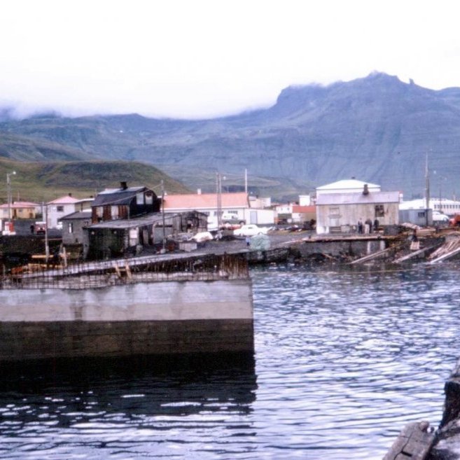 Grundarfjörður og Grundarfjarðarhöfn rétt eftir 1960. Þarna er mikil uppbygging í gangi í ungu plássi sem fæddist þarna vegna góðra skilyrða til þess að byggja upp höfn og eins og sjá má slær hjarta þorpsins þarna. Allt að gerast, meira að segja voru þarna í fjöruborðinu við Svansskála smíðuð kör sem voru notuð við að byggja upp bryggjurnar hér í Grundarfirði en einnig var þeim fleytt og dregin sjóleiðis, langar leiðir til annarra hafna, þar sem uppbygging og lengingar á bryggjum voru í gangi. Nú eru gömlu húsin sem voru með þeim fyrstu í þorpinu löngu horfin, það voru Svansskáli, Neshúsin, og gamli vigtarskúrinn.