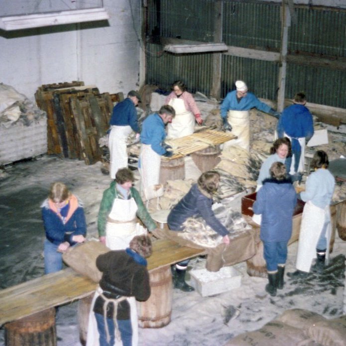 Saltfiskvinnsla í Grund (Fiskverkun Soffaníasar). Rögnvaldur Guðlaugsson, Helga Fríða Tómasdóttir, Cecilía Kristjánsdóttir,  Aðalheiður Lydia Guðmundsdóttir,  Magnús Jóhannsson, Rósa Sigurþórsdóttir, Páll Cecilsson og Elberg Guðmundsson. Árið er 1978.
