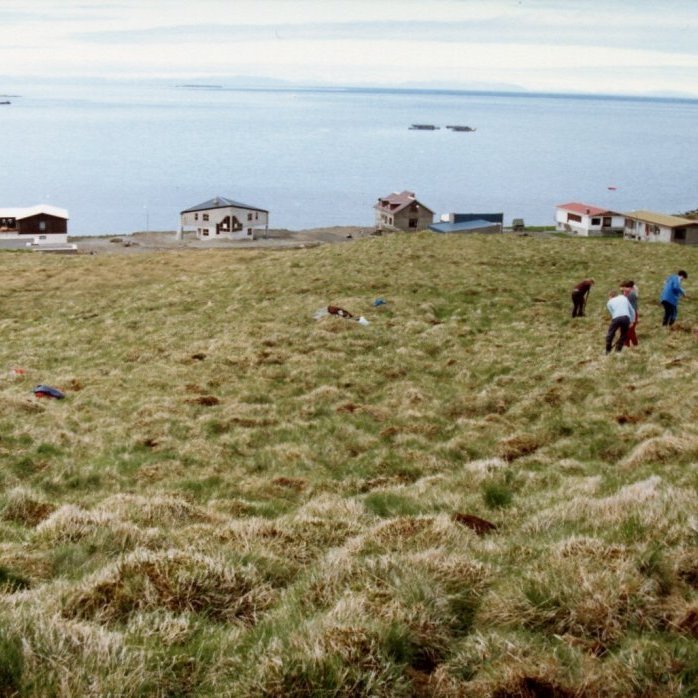 Grundarfjörður að stækka út eftir, á firðinum má sjá laxabúr Snælax og í hlíðinni þar sem nú eru göturnar Fellabrekka og Hellnafell er verið að gróðursetja tré sem í dag hafa myndað fallega trjálundi.