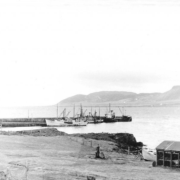 Grundarfjarðarhöfn (litla og stóra bryggja) Neshúsin, hjallar, stóra Bjöggatún, Kattarsnagi og Lengja. Þarna sést glöggt hvað miklar breytingar hafa orðið en þessi mynd er tekin fyrir árið 1960.