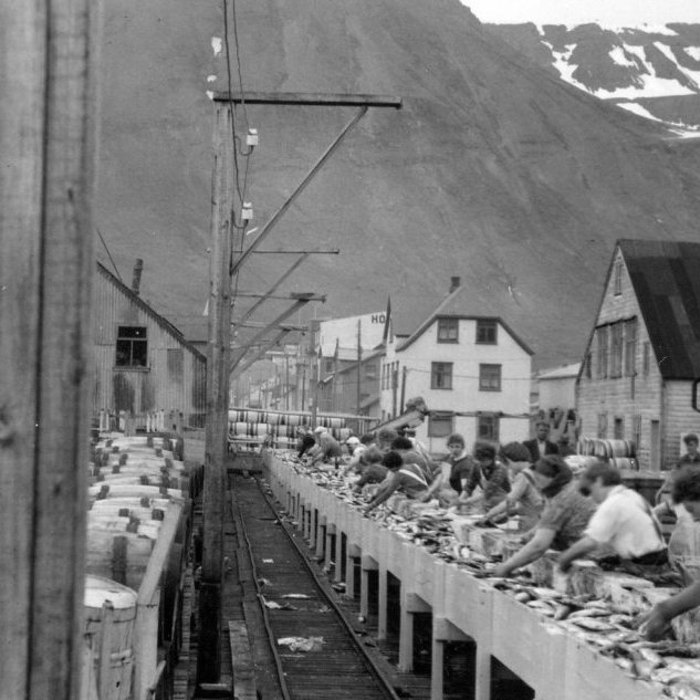 Síldarsöltun á Siglufirði en þangað fóru bátarnir frá Grundarfirði eins og svo margir bátar allstaðar af, einnig fóru margar ungar konur frá Grundarfirði norður að salta síld eða sem kokkar á bátum sem voru á sumarsíld á Siglufirði, Raufarhöfn og austur fyrir land, en langfjölmennast var á Siglufirði.