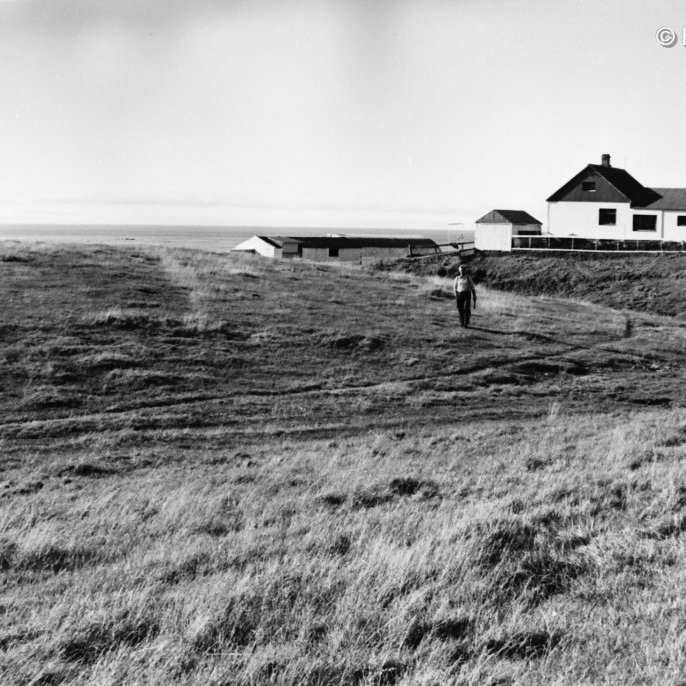 Þorkell Gunnarsson bóndi skoðar sprettuna..