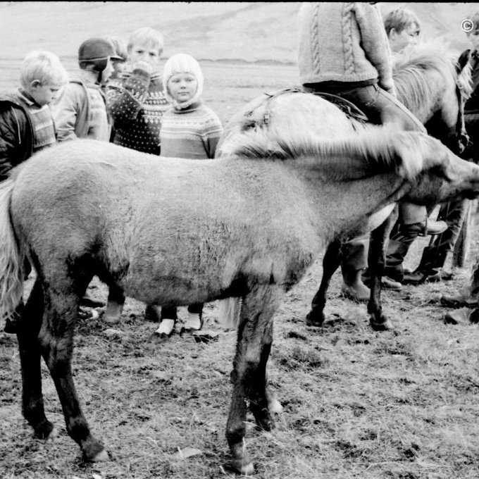 Haustréttir í Grundarrétt