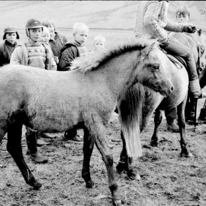 Haustréttir í Grundarrétt