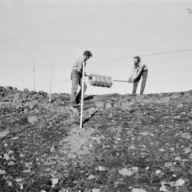 Fjárheld girðing var sett upp ofan við Mýrarhyrnu.