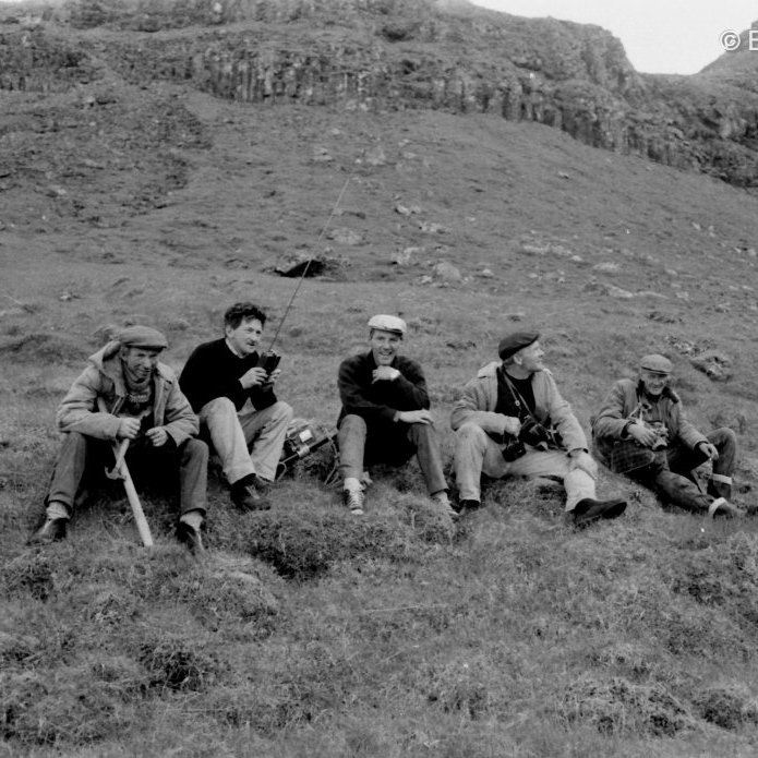 Fjárheld girðing var sett upp ofan við Mýrarhyrnu.