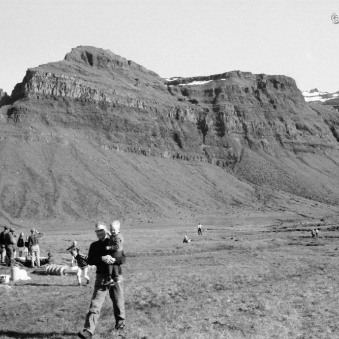 Fjárheld girðing var sett upp ofan við Mýrarhyrnu.