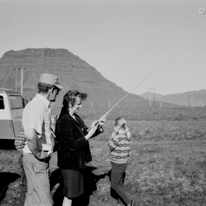 Fjárheld girðing var sett upp ofan við Mýrarhyrnu.