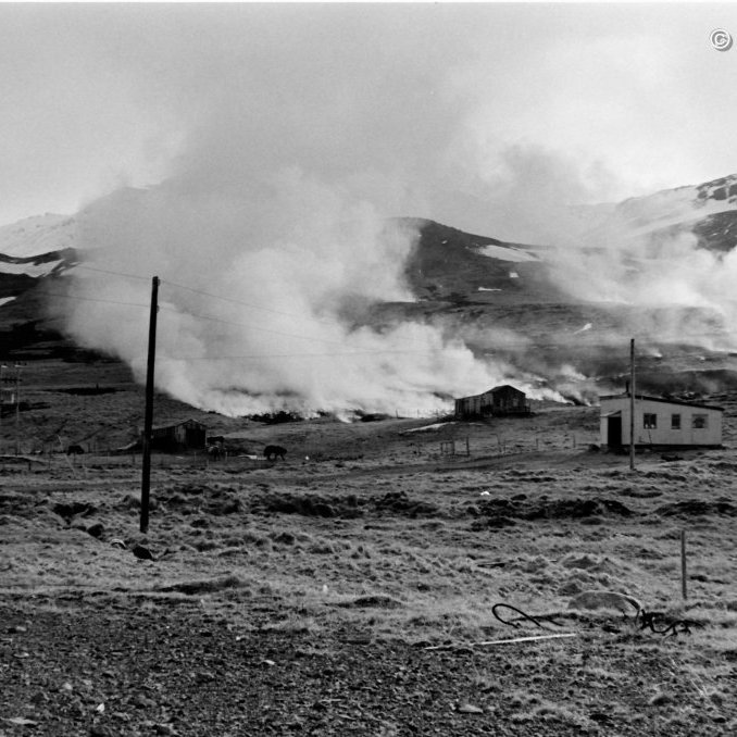 Sinueldar við útihúsin ofan við Borgarholt.