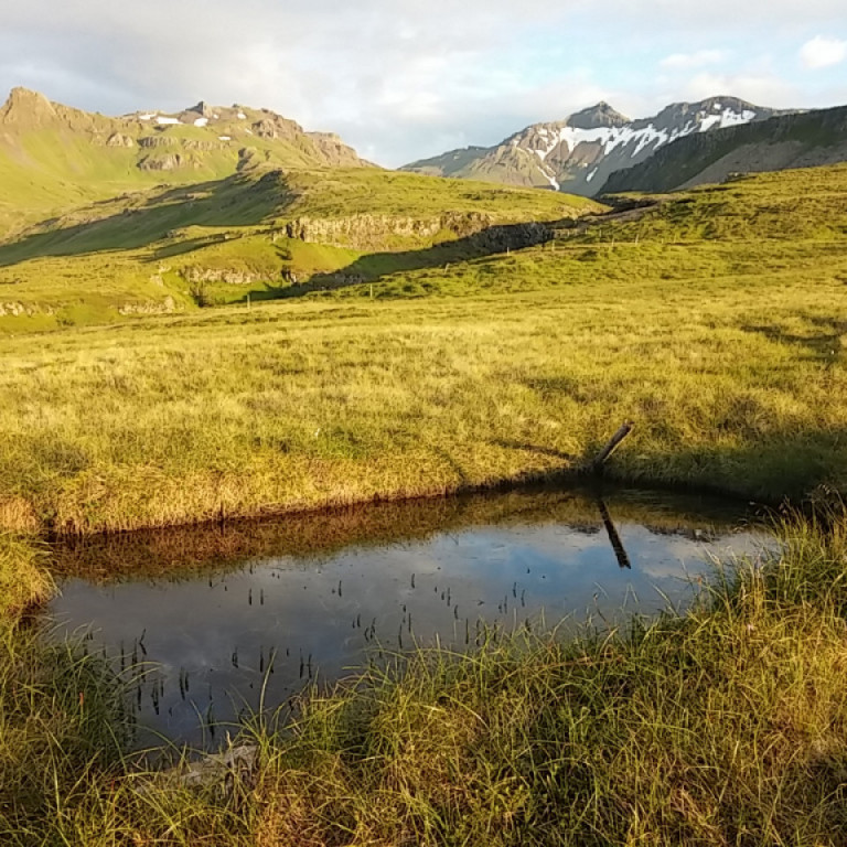 Séð til Kvernárgils. Arnardalsskarð í baksýn. Mógröf í forgrunni.