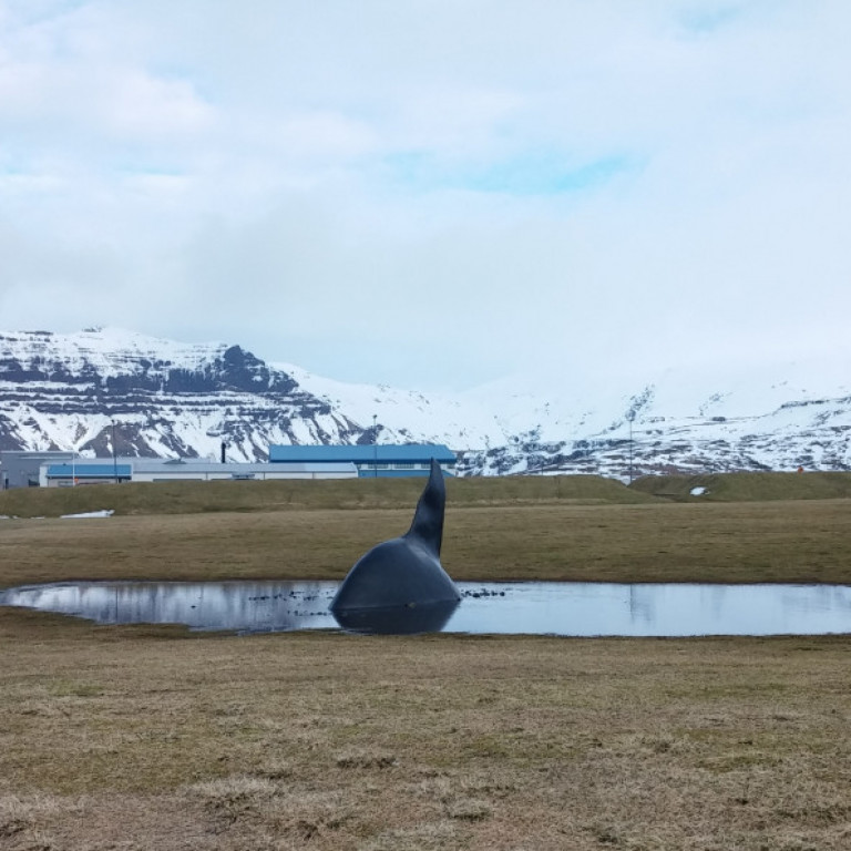 Thunderstorm í pollinum símum í Steinatjörninni fyrrverandi.