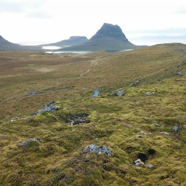 Gönguleið ofan þéttbýlisins