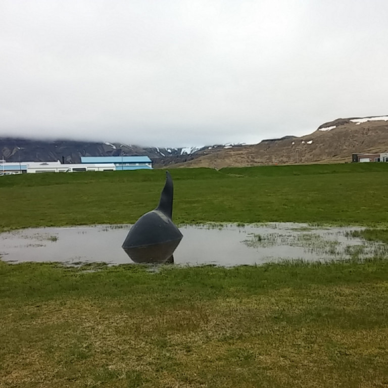 Háhyrningurinn, kunningi Unnsteins.