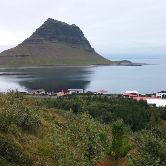 Brekkuskógur,  sér til Kirkjufells