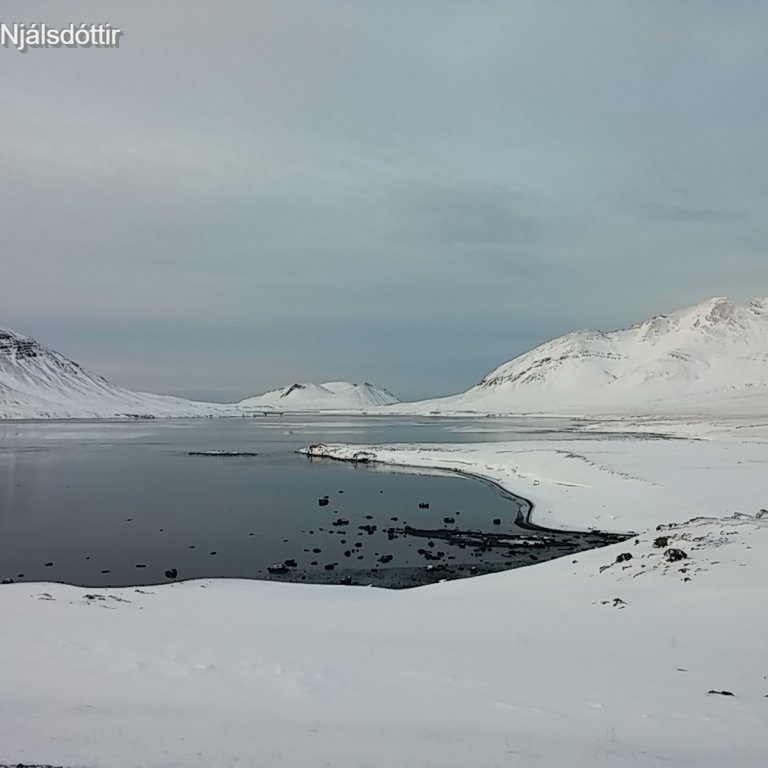 Séð út Seljafjörð