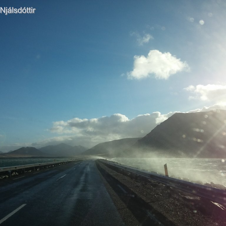 Spænurok á Kolgrafabrú