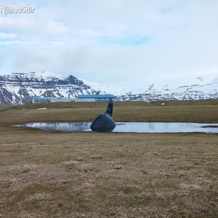 Hvalurinn í tjörninni