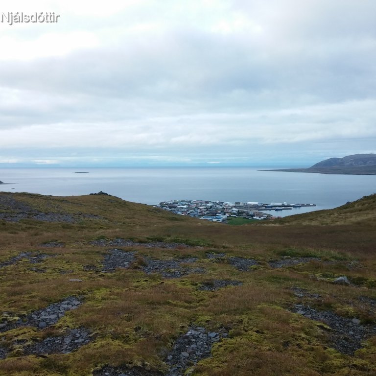 Grundarfjörður séður ofan úr Nautaskarði
